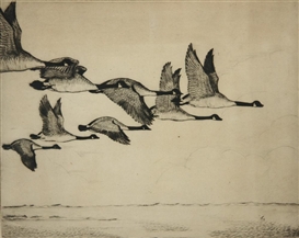 Together, we can soar to new heights!